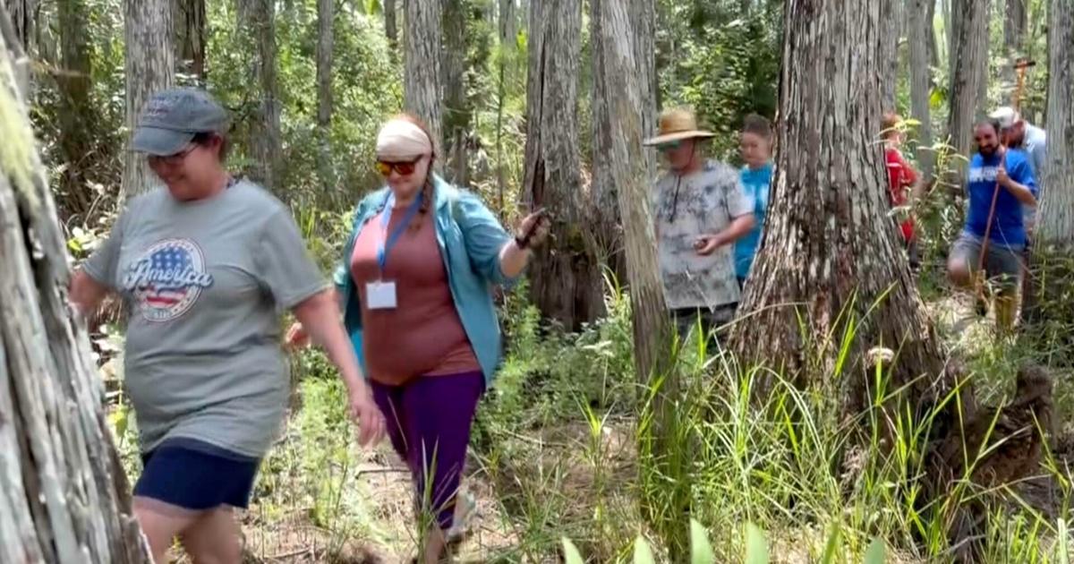 Teachers trade classrooms for muddy swamp at FGCU's hands-on summer camp | Lee County