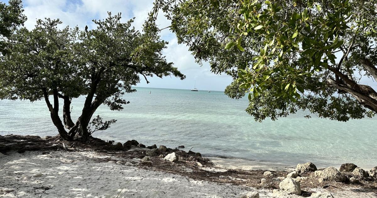 Another steamy and dry day ahead for Key Biscayne | Key Biscayne