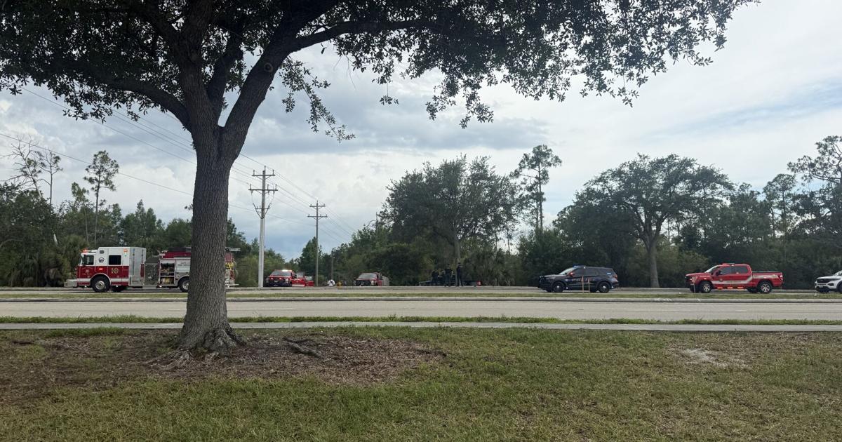 Firefighters battle 5-acre brush fire at Cape Coral nature preserve | Lee County
