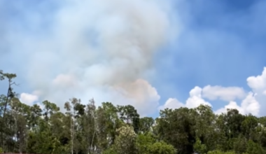 Lee County brush fire burns 22 acres near Alico Road, 85% contained | Lee County