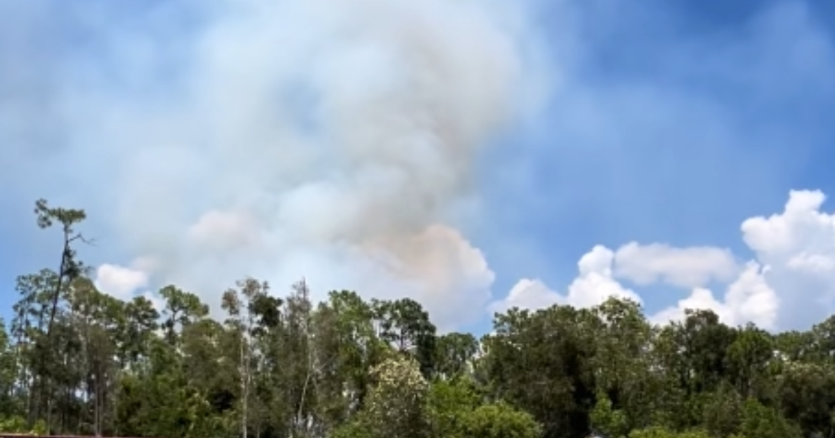 Lee County brush fire burns 22 acres near Alico Road, 85% contained | Lee County