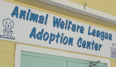 Charlotte County and AWL reach funding compromise today | News