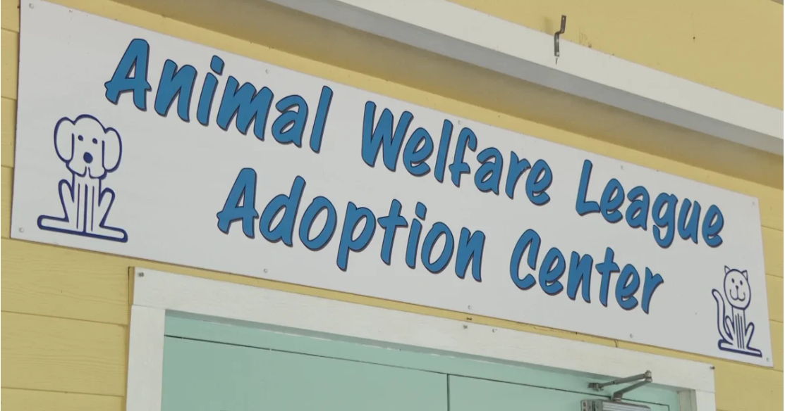 Charlotte County and AWL reach funding compromise today | News