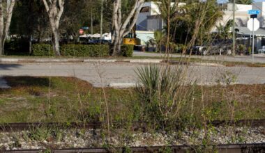 Railbanking law could lead to Seminole Gulf land claims | News