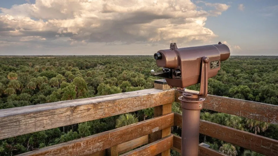 The Canopy Walkway at Myakka River State Park leads to a tower with expansive views.