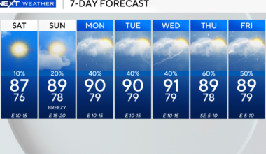 Expect plenty of sunshine, slim chance of rain this weekend across South Florida