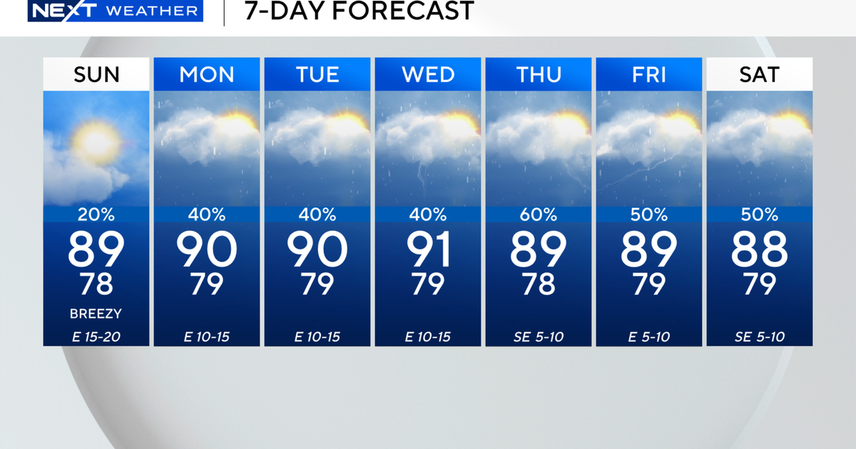 7-day-miami.png