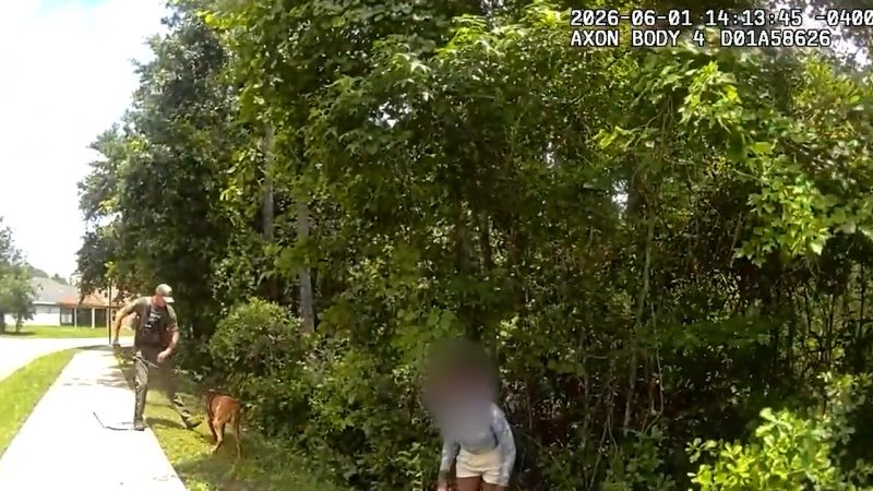 VIDEO: Florida police K-9 tracks down missing 11-year-old in wooded area