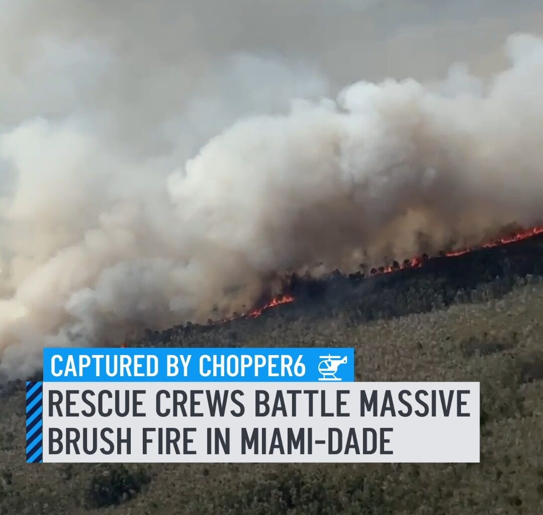 Florida Forest Service and Miami-Dade Fire Rescue crews were responding to a large brush fire in western Miami-Dade on Monday, officials said. Aerial footage from Chopper6 showed a large amount of smoke rising into the air from the scene as flames consumed multiple acres. One section was burning near a group of power lines. #fire #miamidade #chopper #flames