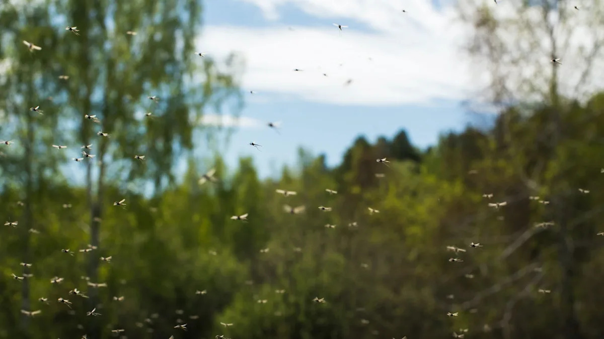 Florida mosquito district becomes first to release sterile mosquitoes by drone