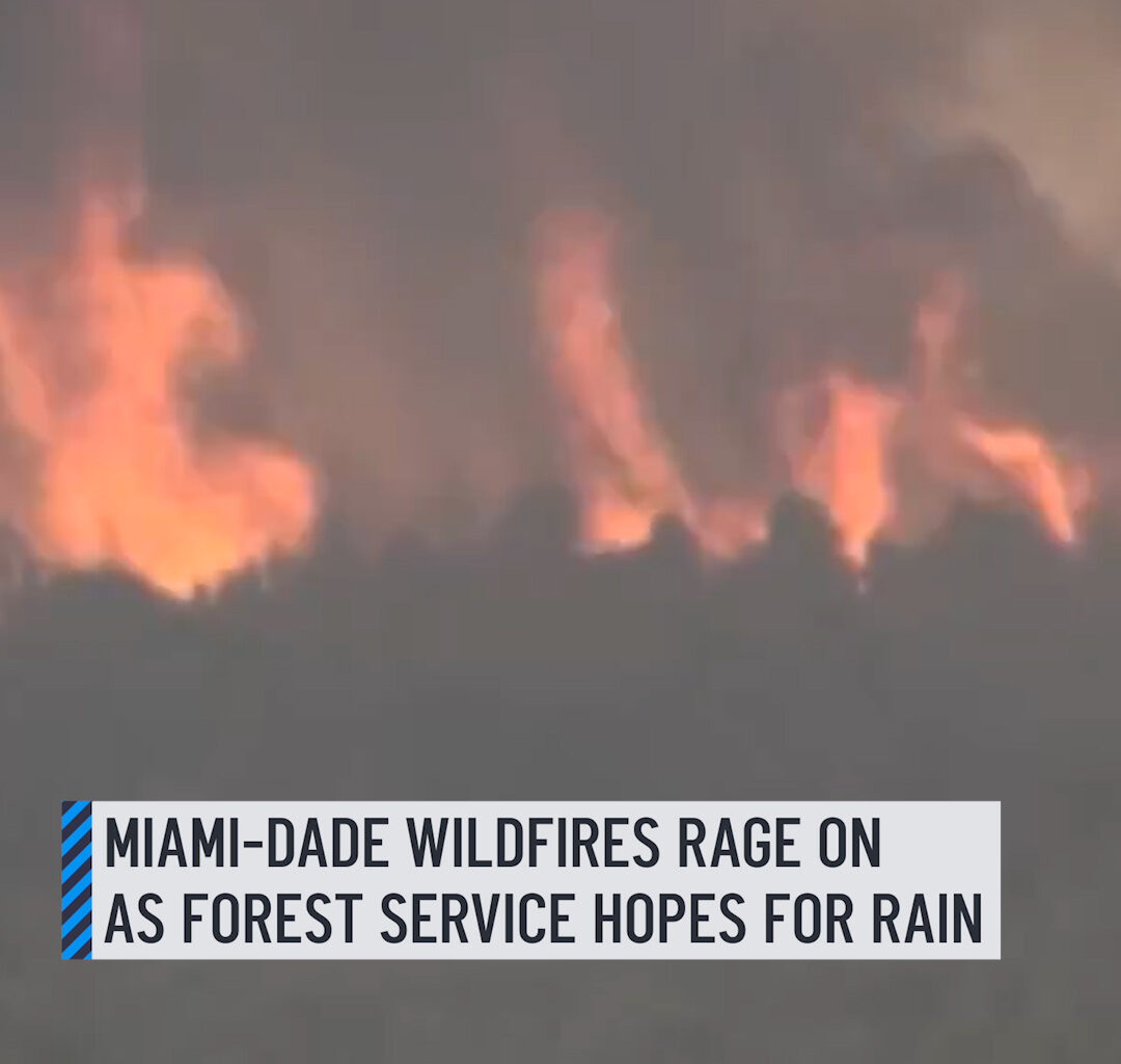 Crews were making progress as they battled three brush fires in western Miami-Dade County on Friday, tackling hotspots and turning off power to help put the flames. Firefighters have worked for almost a week in uncomfortable heat to increase containment and keep flames from two fires away from people and businesses. The latest on the wildfires here: http://on.nbc6.com/I2v3kOU #wildfire #miamidade #firefighters