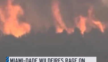 Crews were making progress as they battled three brush fires in western Miami-Dade County on Friday, tackling hotspots and turning off power to help put the flames. Firefighters have worked for almost a week in uncomfortable heat to increase containment and keep flames from two fires away from people and businesses. The latest on the wildfires here: http://on.nbc6.com/I2v3kOU #wildfire #miamidade #firefighters