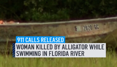 'BOTH HER ARMS ARE OFF' A chilling 911 call made moments after a woman was bitten by an alligator while swimming in a Florida river is giving new details on the fatal attack. The 31-year-old woman from Orlando had been hiking with her boyfriend and best friend when they stopped to swim in about three feet of water, FWC officials said. Her boyfriend was trying to get her from the gator's mouth when he called 911 for help, officials said. #alligator #911 #florida #swimming #orlando