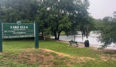 ‘It’s important to everyone’: Community cleanup scheduled for Lake Ella
