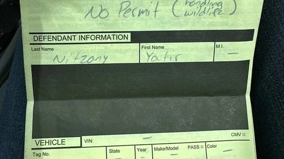 Florida Cyclist's Python Catch Ends in a Fine, Not a Thank You.