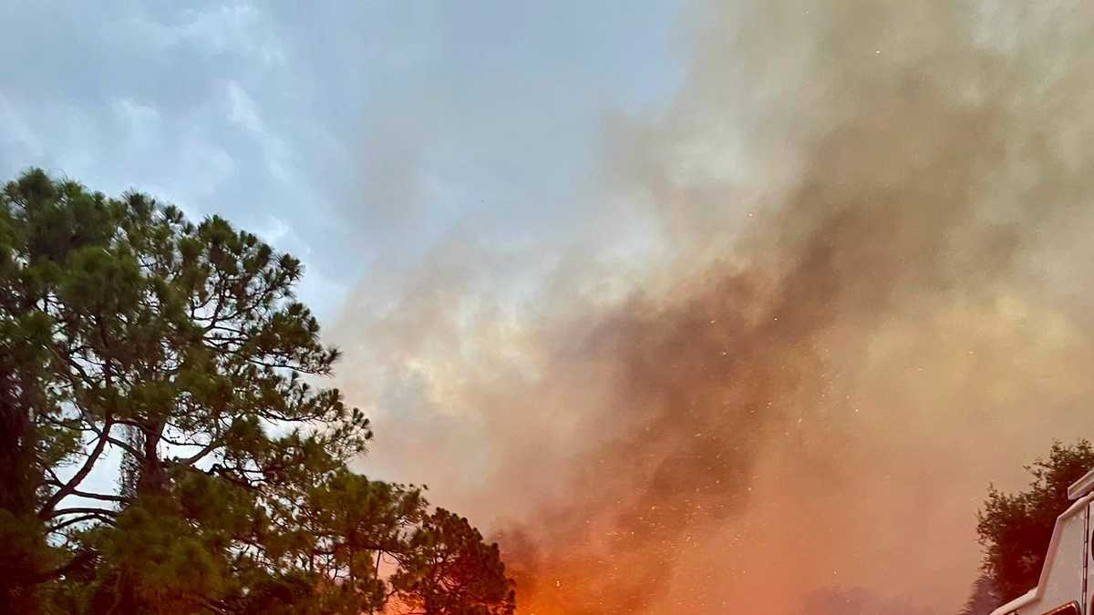 Brush fire burns 10 acres in Hobe Sound, 50% contained