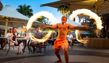 Paradise Nights at Discovery Cove brings live shows, animal encounters to summer evenings