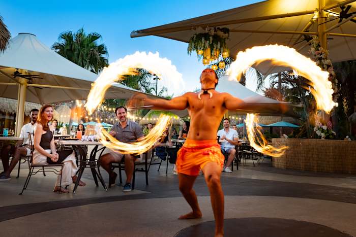 Paradise Nights at Discovery Cove brings live shows, animal encounters to summer evenings