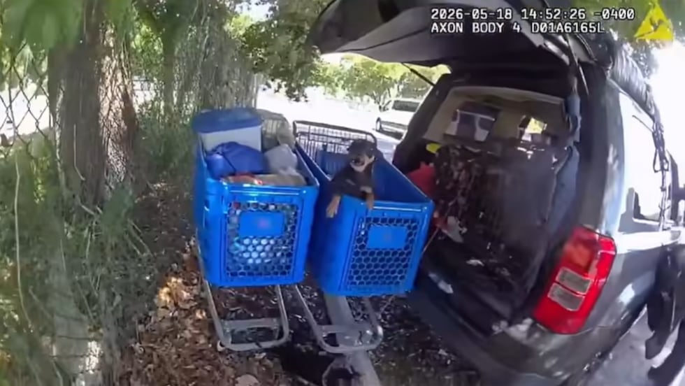 Florida officers rescued two dozen dogs in a vehicle without food or water.