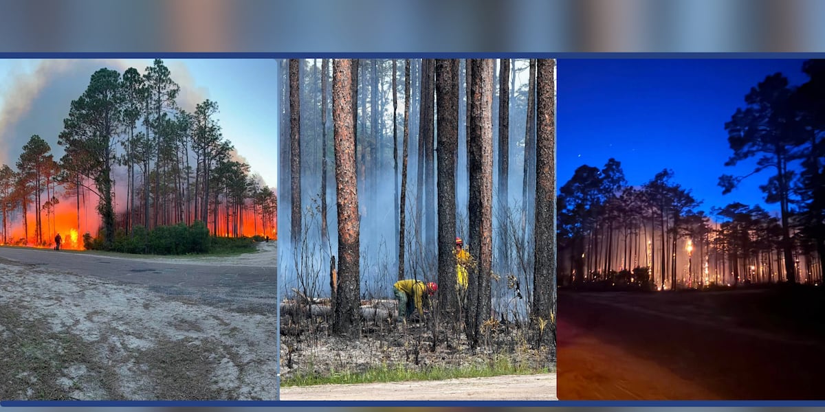 Wakulla County ‘340 fire’ 30% contained, evacuees returning home