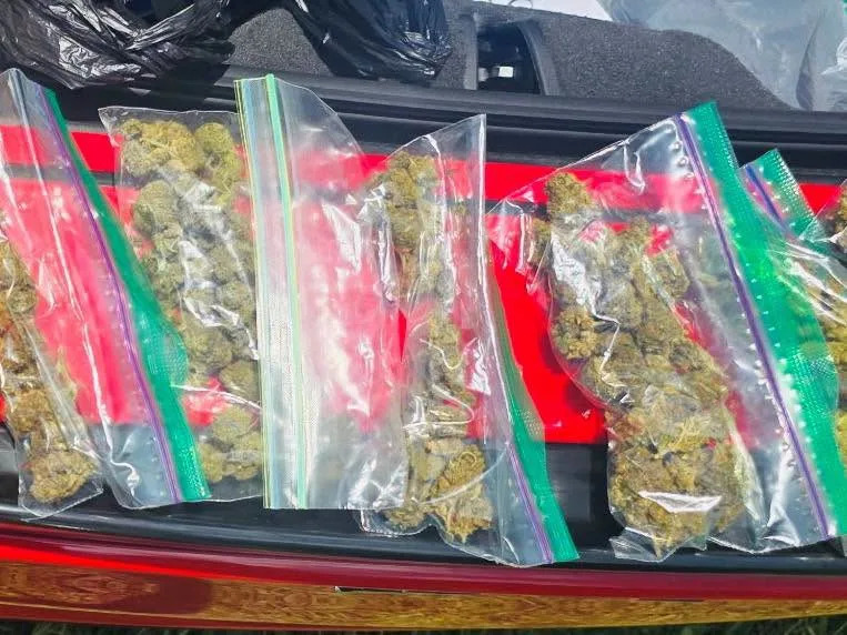 Several bags of suspected marijuana displayed in the trunk of a red Corvette during a Florida drug investigation.