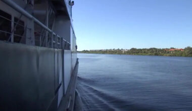 Is Tampa Bay ferry service returning? New boats, local operator secured for Bay Area