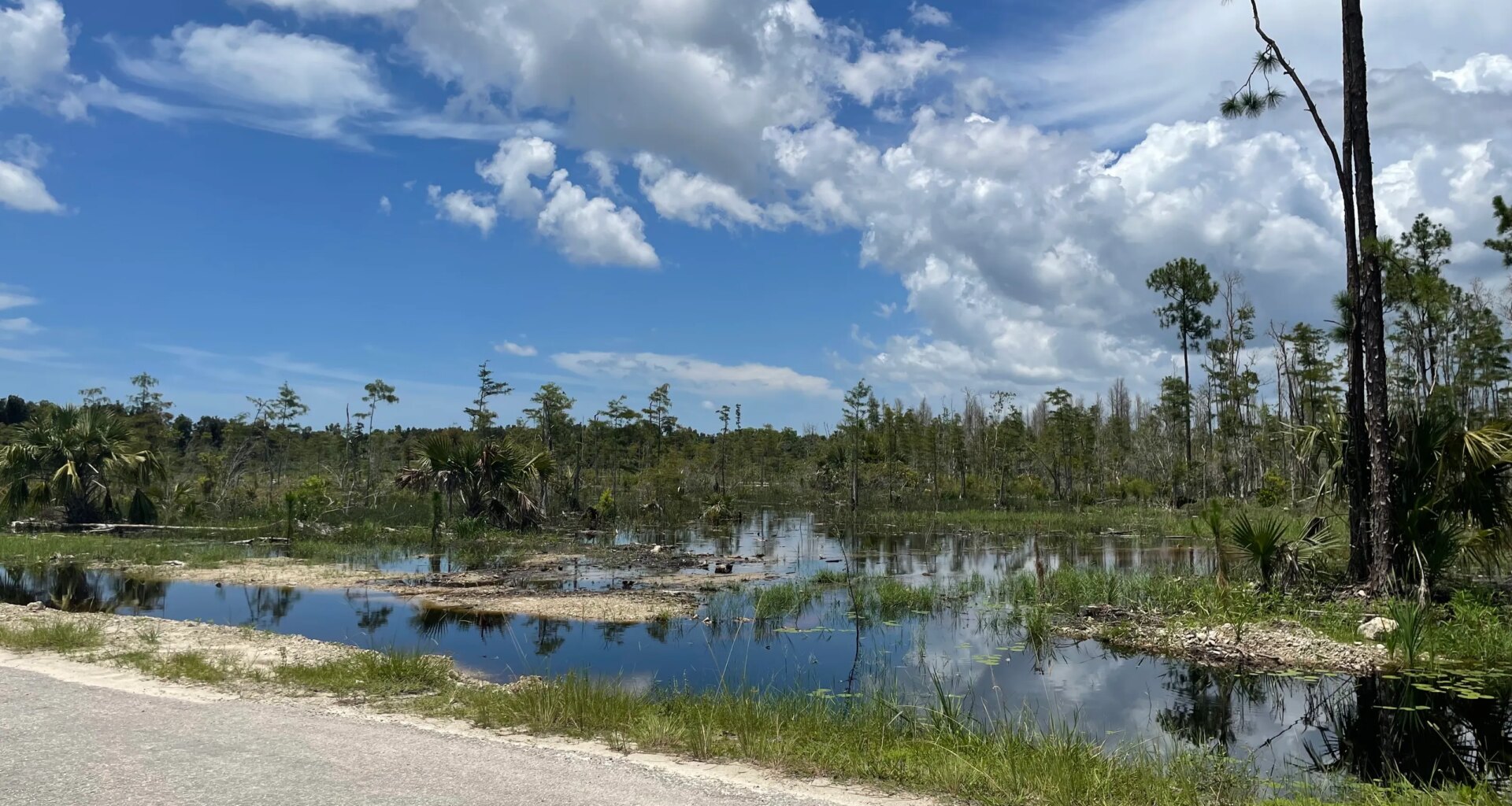 New golf course plan for Florida citrus grove