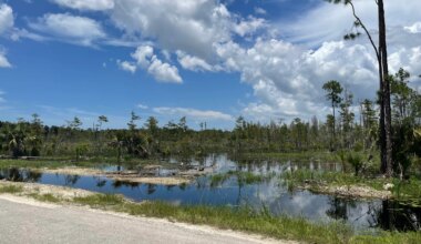 New golf course plan for Florida citrus grove