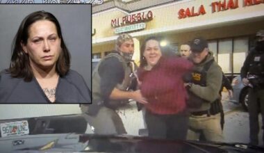 Jacksonville woman pleads guilty to punching state trooper assisting ICE agents