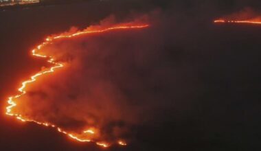 Wildfire burns 180 acres near Sawgrass Expressway in Broward County