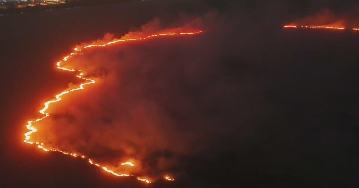 Wildfire burns 180 acres near Sawgrass Expressway in Broward County