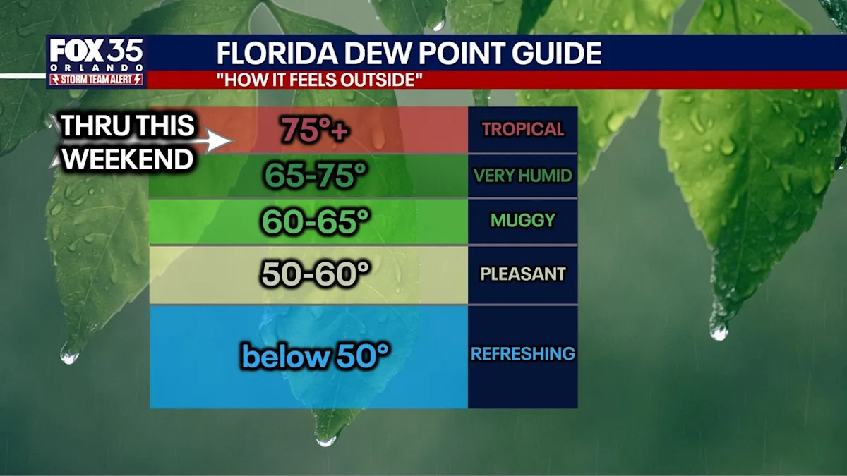 Orlando weather: Heat advisory for Central Florida as heat index climbs to the 100s