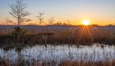 National Park Advocates Applaud New Miami-Dade County Proposal to Protect Wetlands · National Parks Conservation Association
