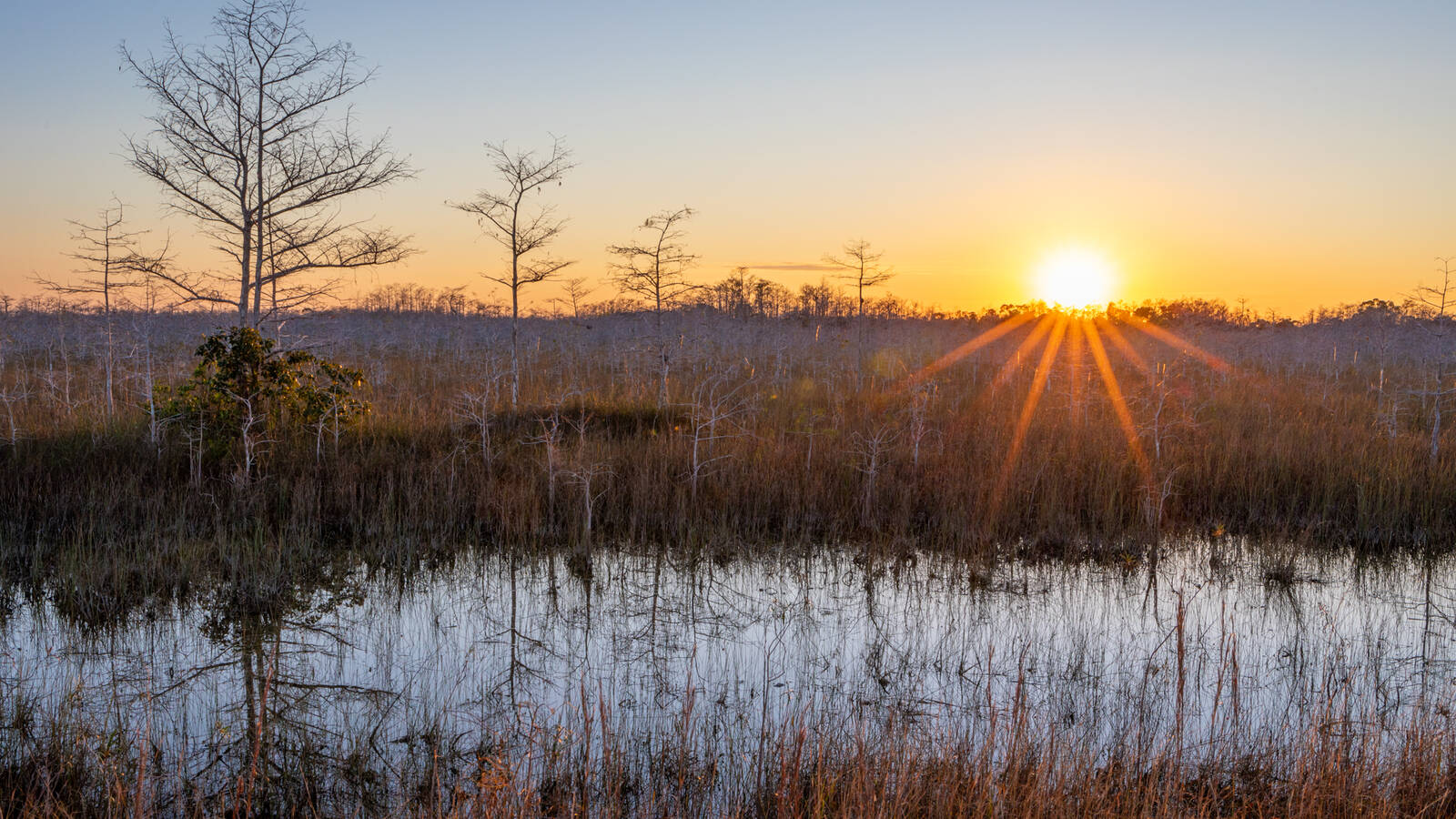 National Park Advocates Applaud New Miami-Dade County Proposal to Protect Wetlands · National Parks Conservation Association