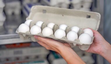 St. Pete man arrested, accused of throwing eggs and sardines at a home