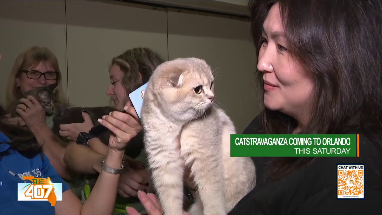 For the first time ever, Catstravaganza is coming to Orlando