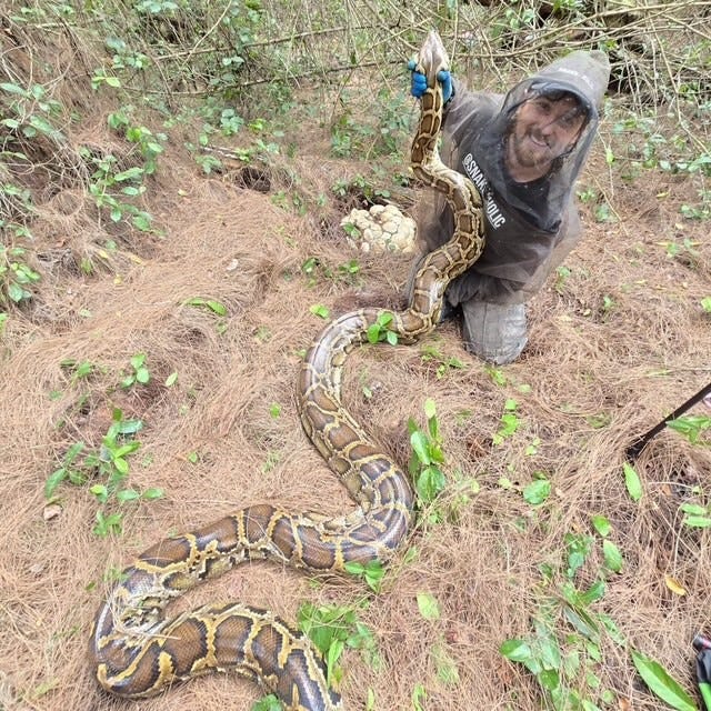 See photogenic Florida hunters pose with their python 'trophies'
