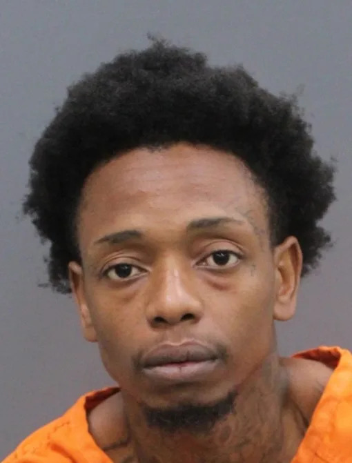 Credit: Hillsborough County Sheriff’s Office