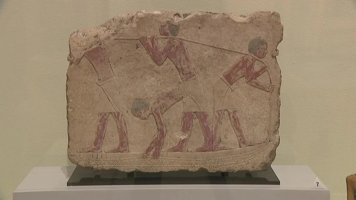 Ancient Egyptian mummies and pharaoh sculptures arrive at Tampa Museum of Art