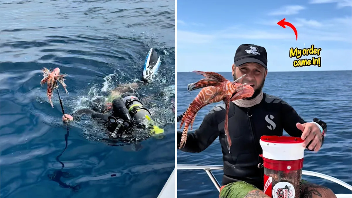 Florida reef diver packs container full of invasive lionfish — and one is a monster