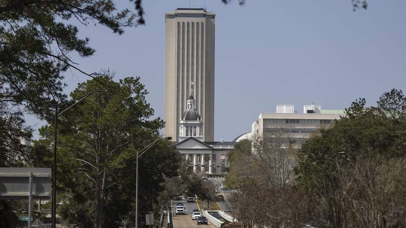 Here’s who wants to represent Tampa Bay in Legislature, Cabinet primaries