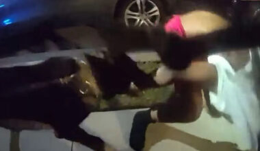 Florida Man Hiding From Deputies Under Car Gets Bitten By Police Dog