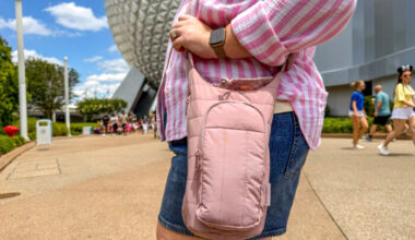 The $17 Bag That Survived Every Universal Orlando Ride and Storage Locker