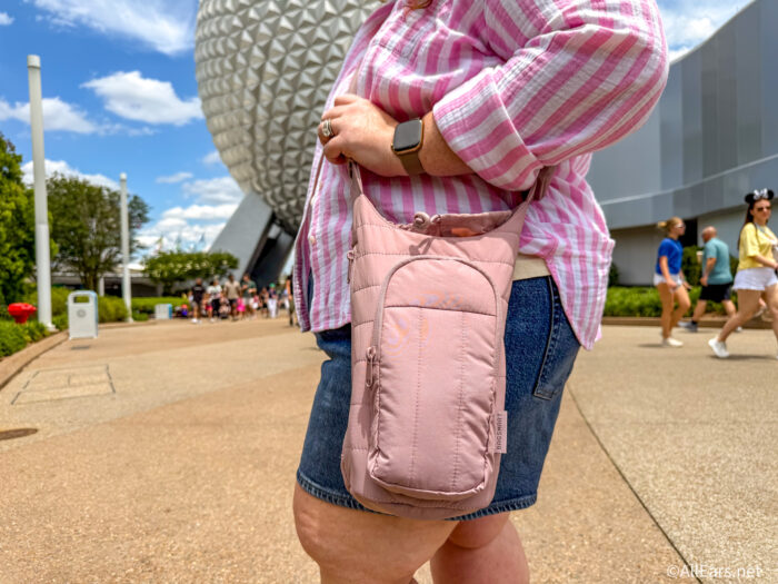 The $17 Bag That Survived Every Universal Orlando Ride and Storage Locker