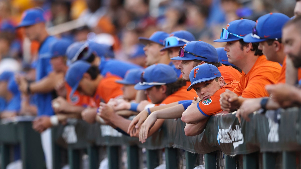 Florida dugout watching the seventh inning of NCAA College World Series baseball finals