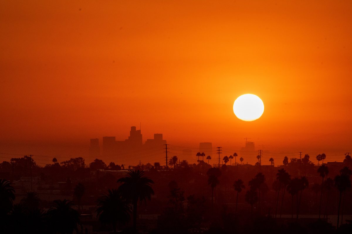 A bright orange sun shines over a city skyline.