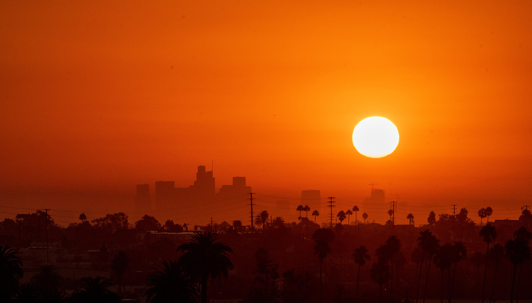 A bright orange sun shines over a city skyline.