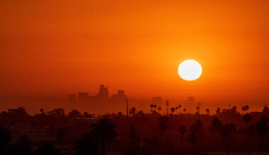 A bright orange sun shines over a city skyline.
