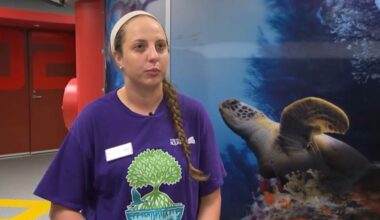 A+ Teacher spends summer teaching at The Florida Aquarium