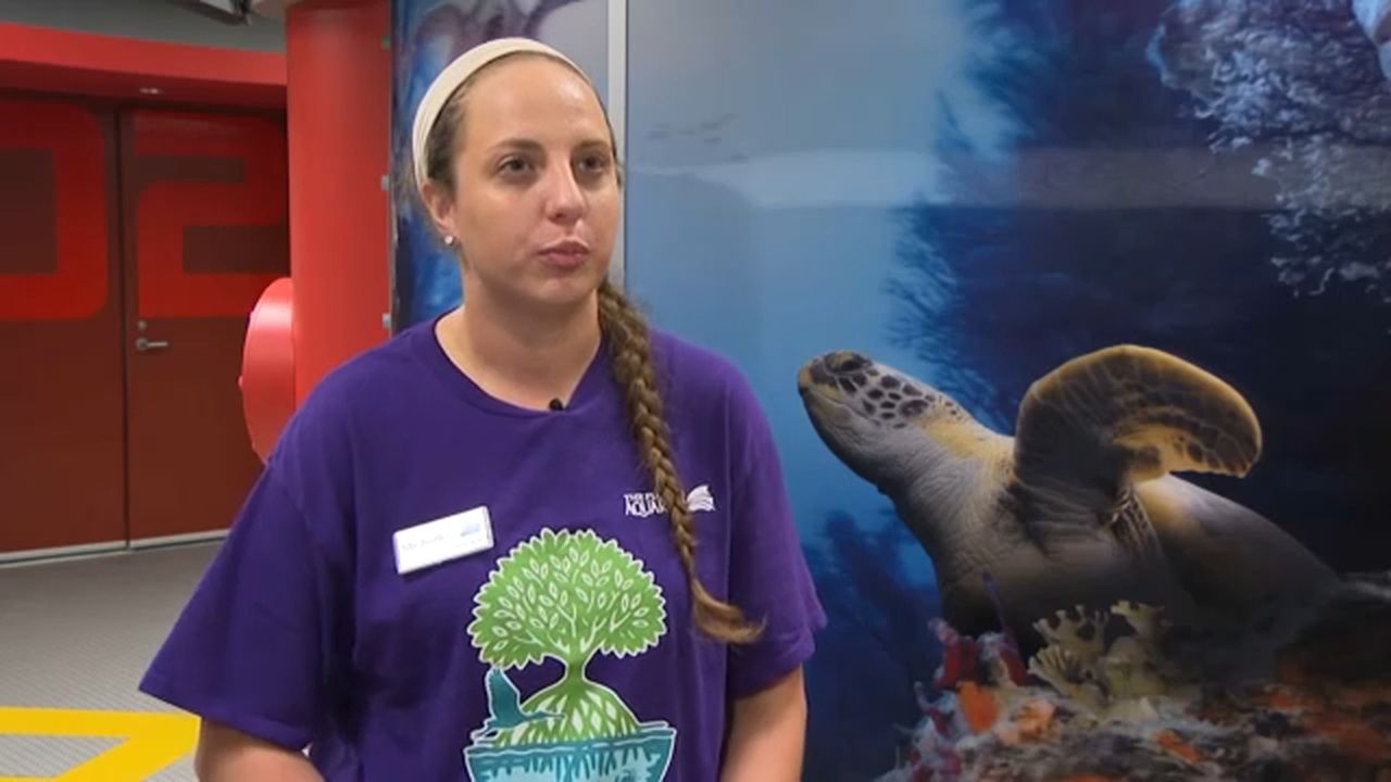 A+ Teacher spends summer teaching at The Florida Aquarium